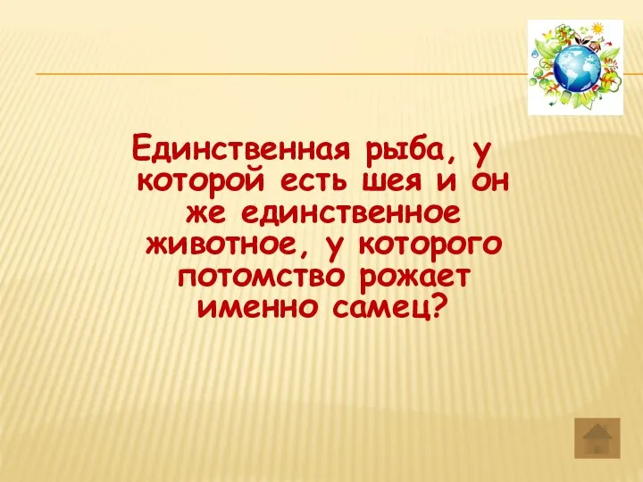 Единственная рыба, у которой есть шея и он же единственное животное, у