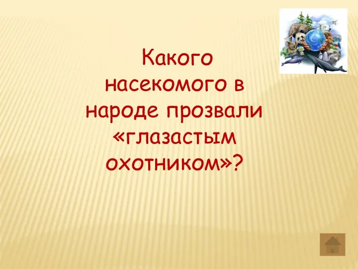 Какого насекомого в народе прозвали «глазастым охотником»?