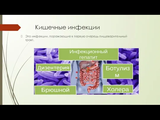 Кишечные инфекции Это инфекции, поражающие в первую очередь пищеварительный тракт.