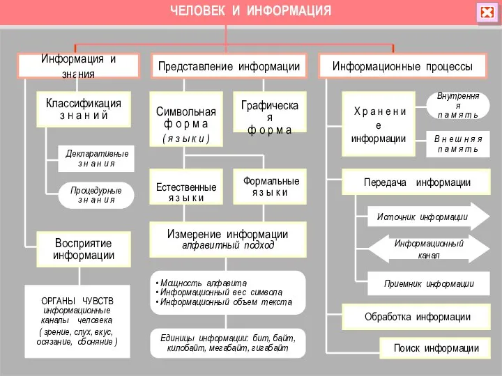 ЧЕЛОВЕК И ИНФОРМАЦИЯ ОРГАНЫ ЧУВСТВ информационные каналы человека ( зрение, слух, вкус,