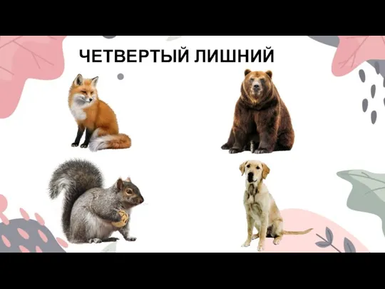 ЧЕТВЕРТЫЙ ЛИШНИЙ