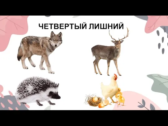 ЧЕТВЕРТЫЙ ЛИШНИЙ