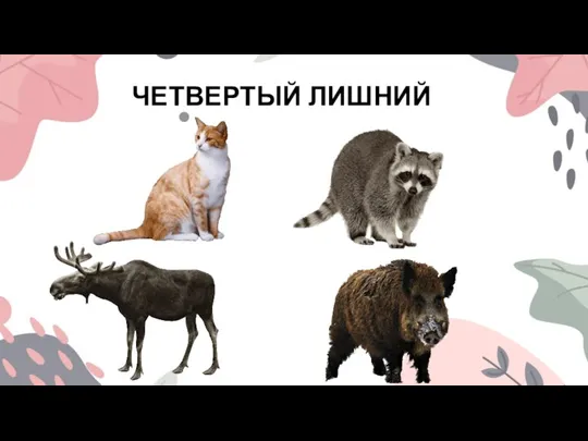 ЧЕТВЕРТЫЙ ЛИШНИЙ