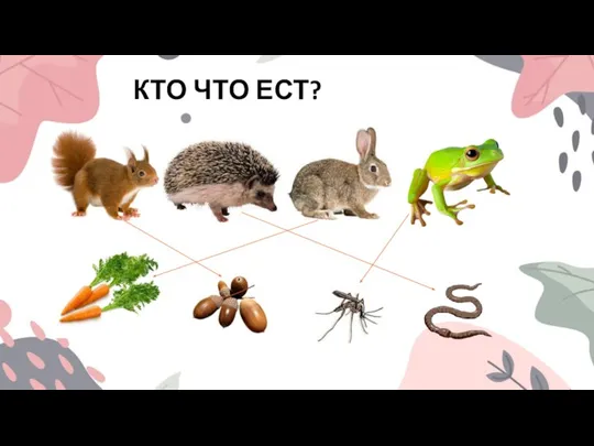 КТО ЧТО ЕСТ?