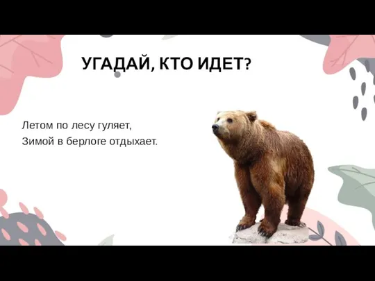 УГАДАЙ, КТО ИДЕТ? Летом по лесу гуляет, Зимой в берлоге отдыхает.