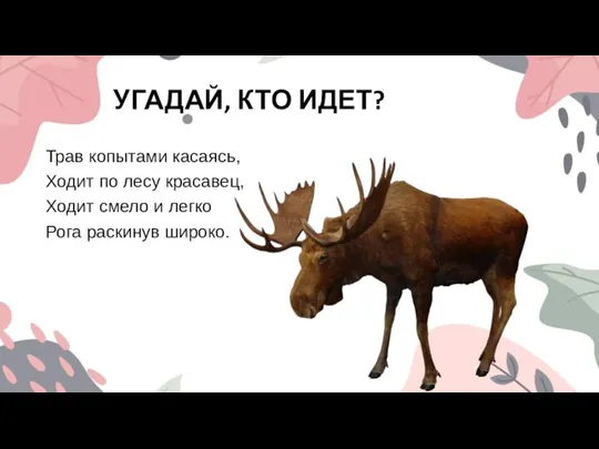 УГАДАЙ, КТО ИДЕТ? Трав копытами касаясь, Ходит по лесу красавец, Ходит смело