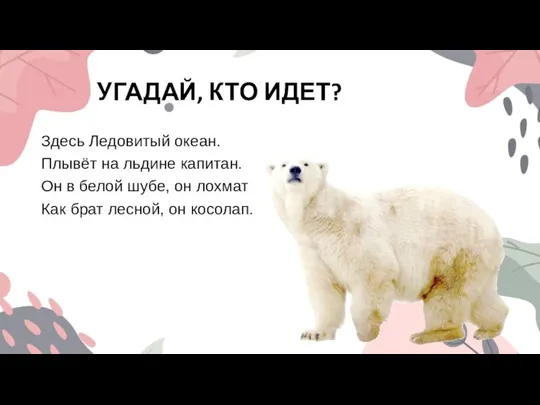 УГАДАЙ, КТО ИДЕТ? Здесь Ледовитый океан. Плывёт на льдине капитан. Он в