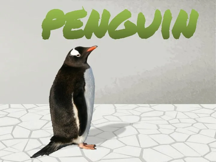 penguin