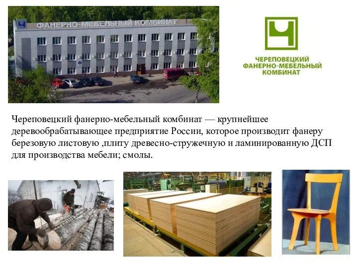 Череповецкий фанерно-мебельный комбинат — крупнейшее деревообрабатывающее предприятие России, которое производит фанеру березовую