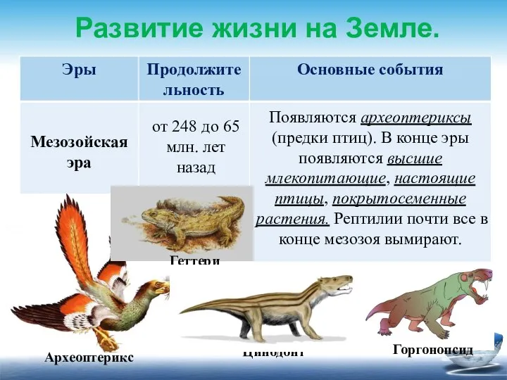 Развитие жизни на Земле. от 248 до 65 млн. лет назад Появляются