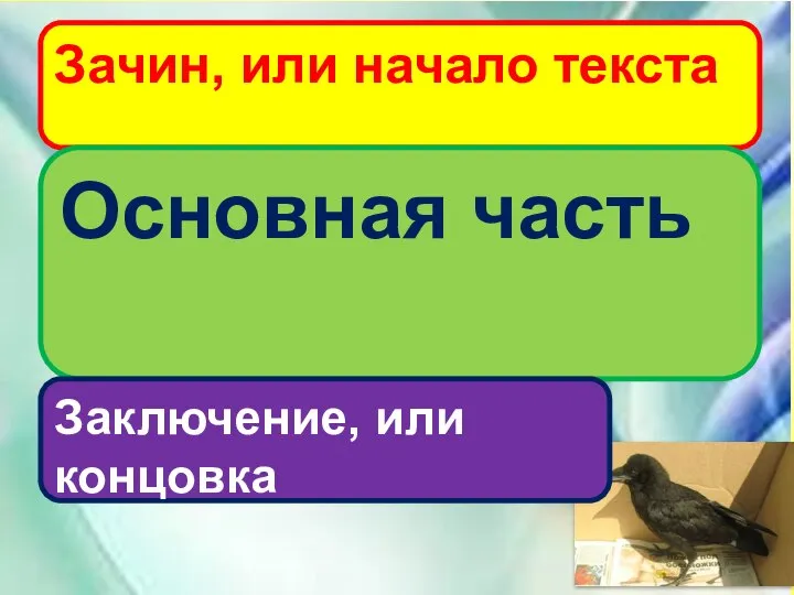 Миша нашёл под деревом грачонка. Грачонок был чёрный, носатый. Он не умел