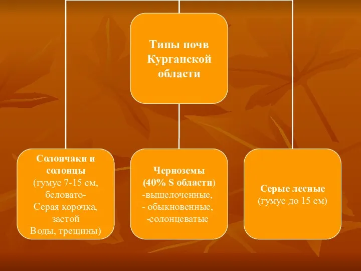 Типы почв Курганской области