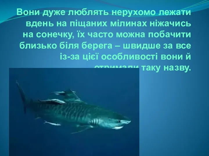 Вони дуже люблять нерухомо лежати вдень на піщаних мілинах ніжачись на сонечку,