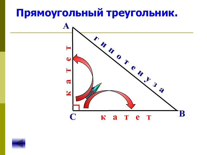 Прямоугольный треугольник. А В С г и п о т е н