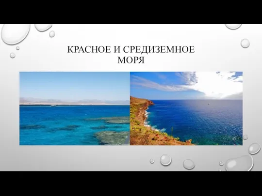 КРАСНОЕ И СРЕДИЗЕМНОЕ МОРЯ