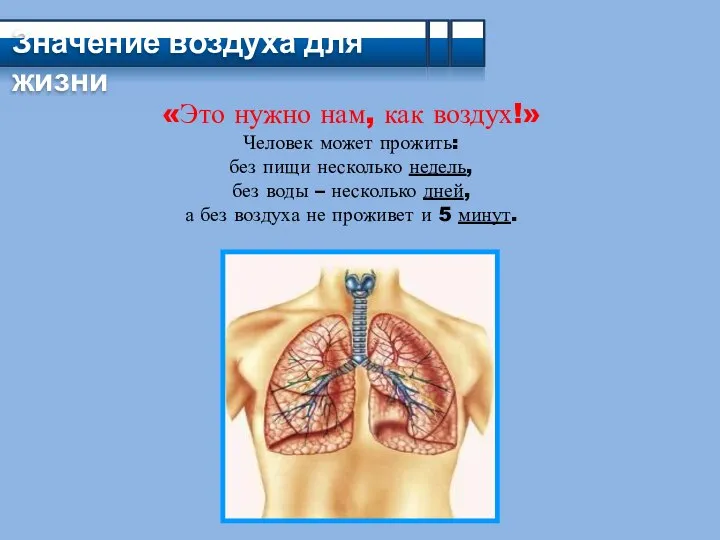 Значение воздуха для жизни «Это нужно нам, как воздух!» Человек может прожить: