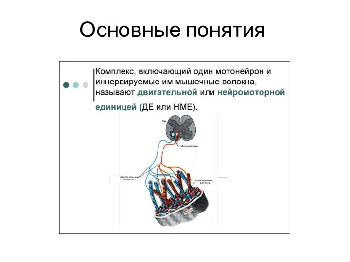 Основные понятия