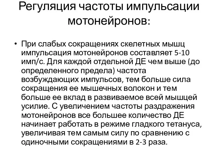 Регуляция частоты импульсации мотонейронов: При слабых сокращениях скелетных мышц импульсация мотонейронов составляет