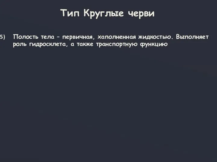 Тип Круглые черви Полость тела – первичная, хаполненная жидкостью. Выполняет роль гидросклета, а также транспортную функцию