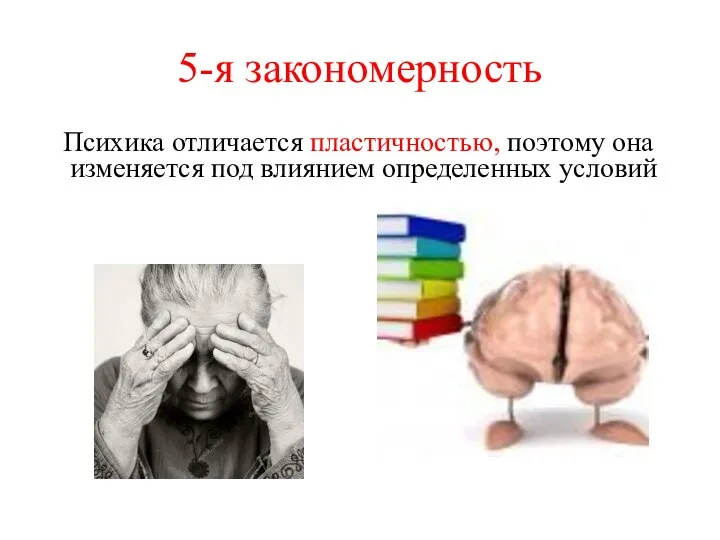 5-я закономерность Психика отличается пластичностью, поэтому она изменяется под влиянием определенных условий