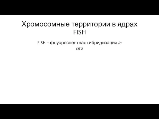 Хромосомные территории в ядрах FISH FISH – флуоресцентная гибридизация in situ