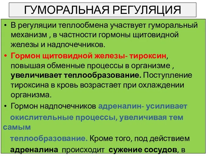 ГУМОРАЛЬНАЯ РЕГУЛЯЦИЯ В регуляции теплообмена участвует гуморальный механизм , в частности гормоны