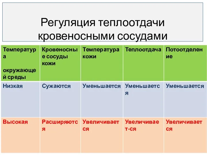 Регуляция теплоотдачи кровеносными сосудами