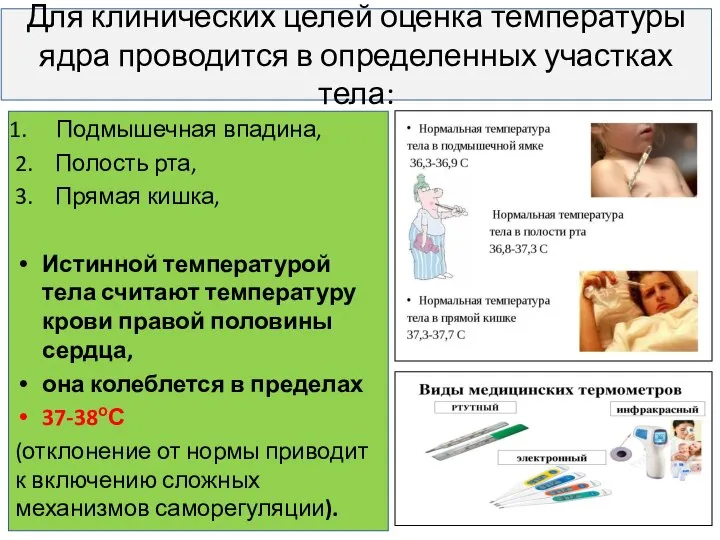 Для клинических целей оценка температуры ядра проводится в определенных участках тела: Подмышечная