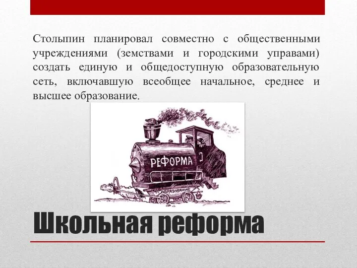 Школьная реформа Столыпин планировал совместно с общественными учреждениями (земствами и городскими управами)