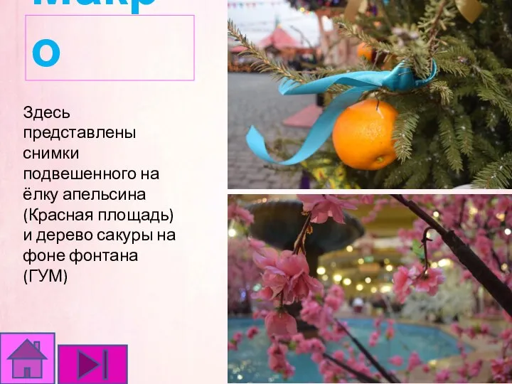 Макро Здесь представлены снимки подвешенного на ёлку апельсина (Красная площадь) и дерево