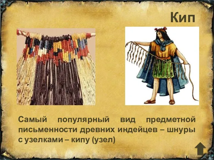 Кипу Самый популярный вид предметной письменности древних индейцев – шнуры с узелками – кипу (узел)