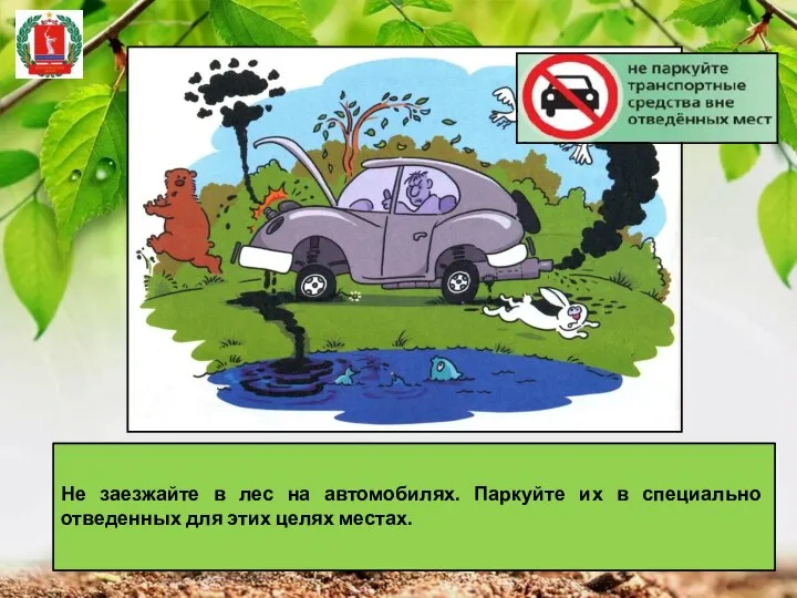 Не заезжайте в лес на автомобилях. Паркуйте их в специально отведенных для этих целях местах.