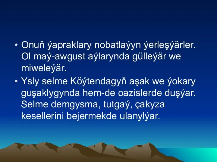 Onuň ýapraklary nobatlaýyn ýerleşýärler. Ol maý-awgust aýlarynda gülleýär we miweleýär. Ysly selme