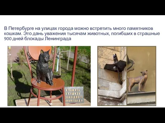 В Петербурге на улицах города можно встретить много памятников кошкам. Это дань