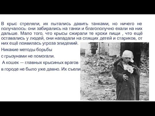 В крыс стреляли, их пытались давить танками, но ничего не получалось: они