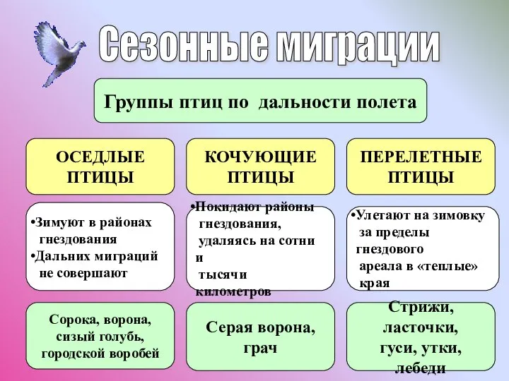 Сезонные миграции Группы птиц по дальности полета ОСЕДЛЫЕ ПТИЦЫ КОЧУЮЩИЕ ПТИЦЫ ПЕРЕЛЕТНЫЕ