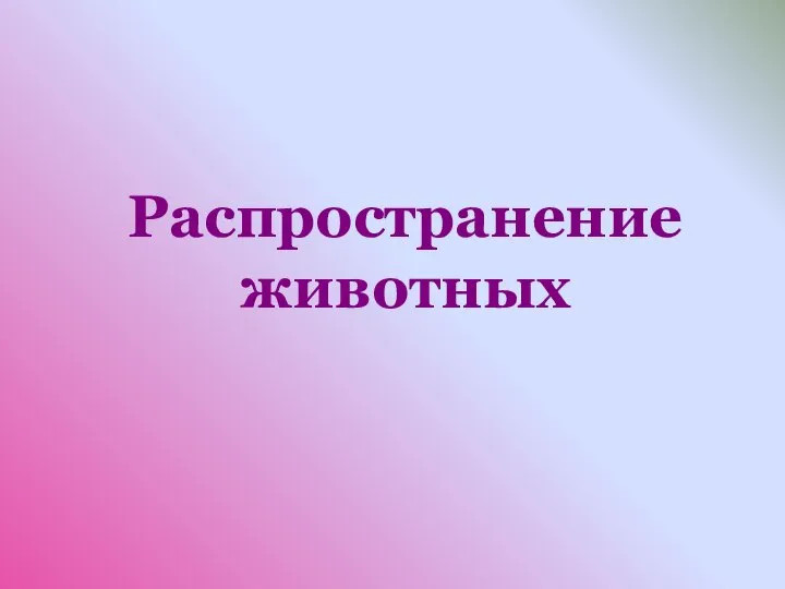 Распространение животных