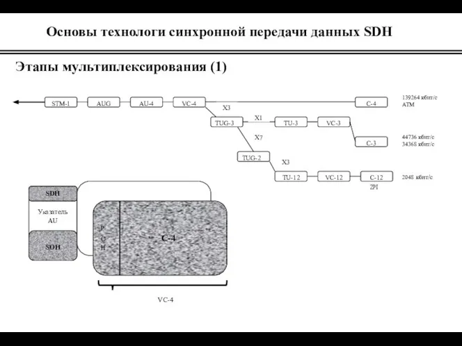 Основы технологи синхронной передачи данных SDH Этапы мультиплексирования (1)