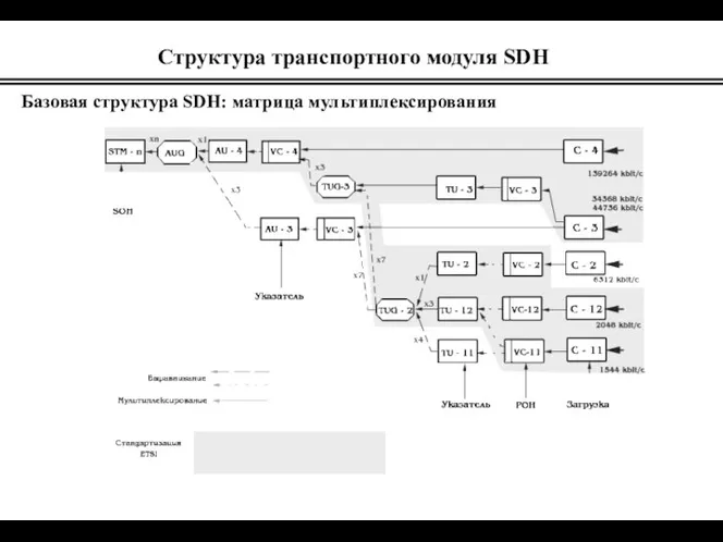 Базовая структура SDH: матрица мультиплексирования Структура транспортного модуля SDH