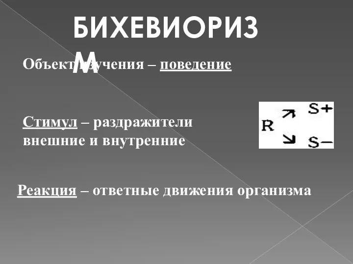 Объект изучения – поведение Стимул – раздражители внешние и внутренние Реакция – ответные движения организма БИХЕВИОРИЗМ