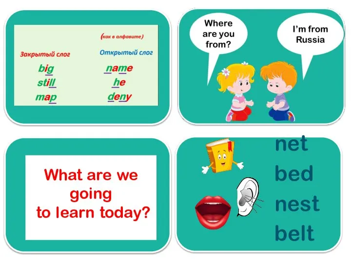 What are we going to learn today? net bed nest belt