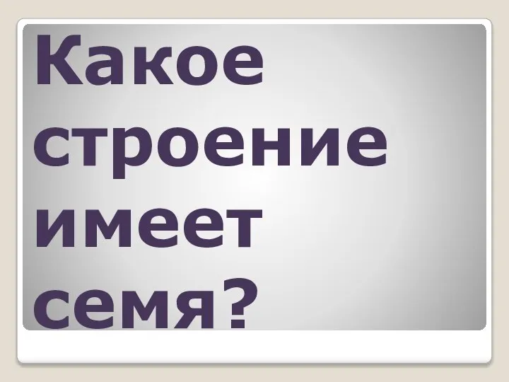 Какое строение имеет семя?