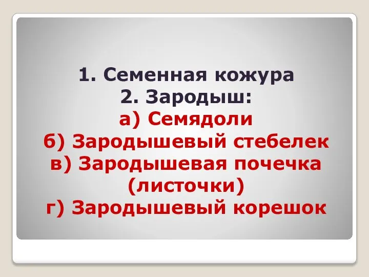 1. Семенная кожура 2. Зародыш: а) Семядоли б) Зародышевый стебелек в) Зародышевая