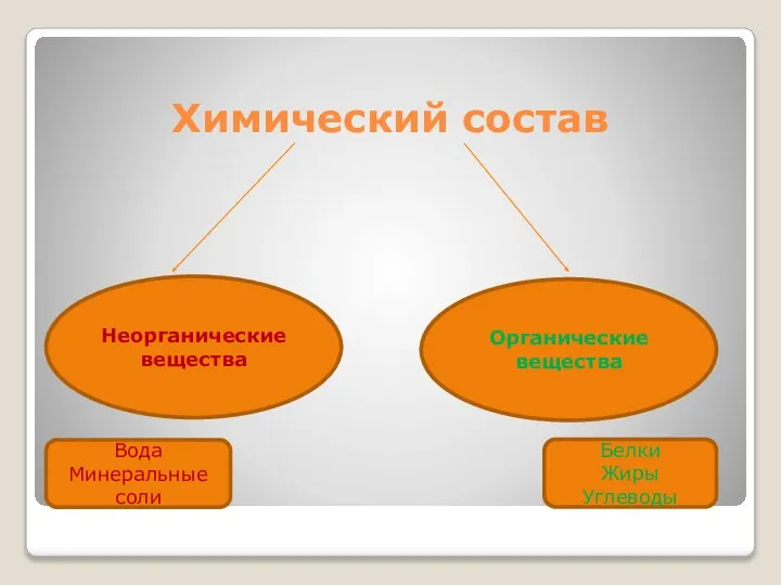 Химический состав Неорганические вещества Органические вещества Вода Минеральные соли Белки Жиры Углеводы