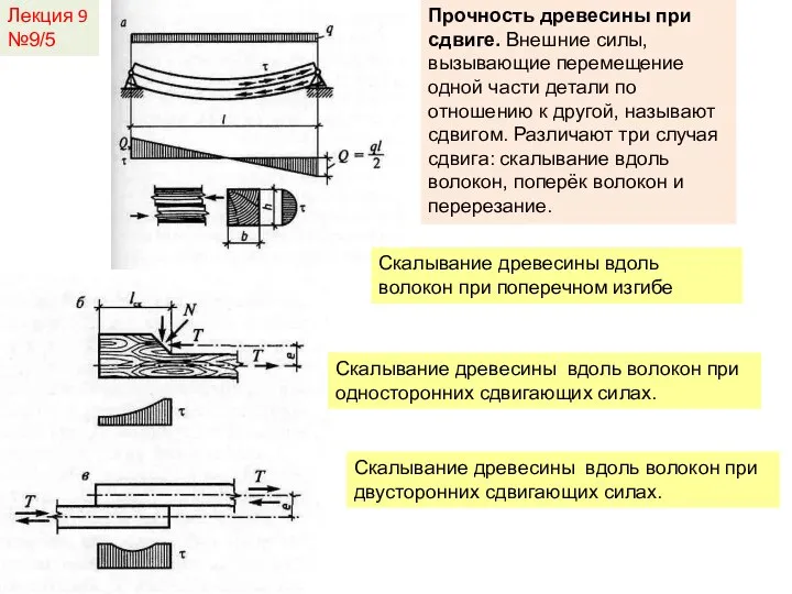 Лекция 9 №9/5 Скалывание древесины вдоль волокон при поперечном изгибе Скалывание древесины
