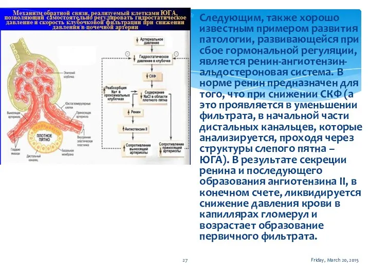 Friday, March 20, 2015 Следующим, также хорошо известным примером развития патологии, развивающейся