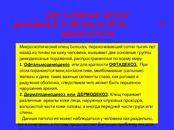 Две основные группы демодекоза в офтальмологии и дерматологии Микроскопический клещ Demodex, перекочевавший