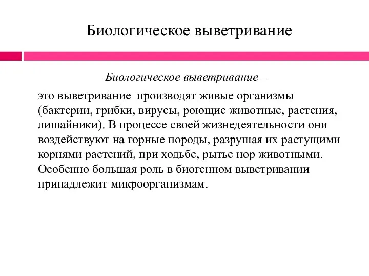 Биологическое выветривание Биологическое выветривание – это выветривание производят живые организмы (бактерии, грибки,