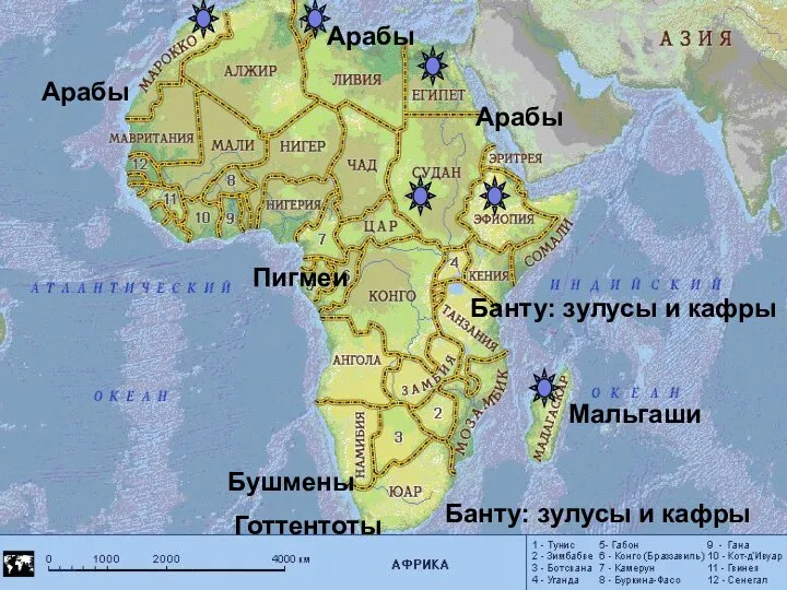 Арабы Арабы Арабы Банту: зулусы и кафры Банту: зулусы и кафры Готтентоты Мальгаши Бушмены Пигмеи