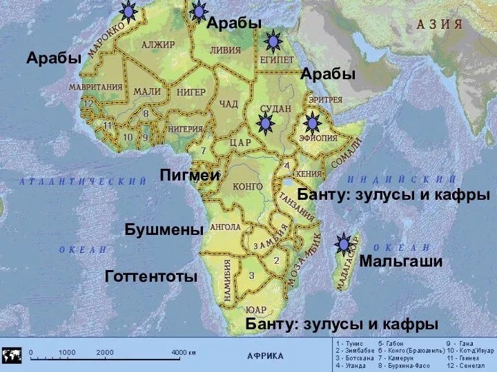 Арабы Арабы Арабы Банту: зулусы и кафры Банту: зулусы и кафры Готтентоты Мальгаши Бушмены Пигмеи